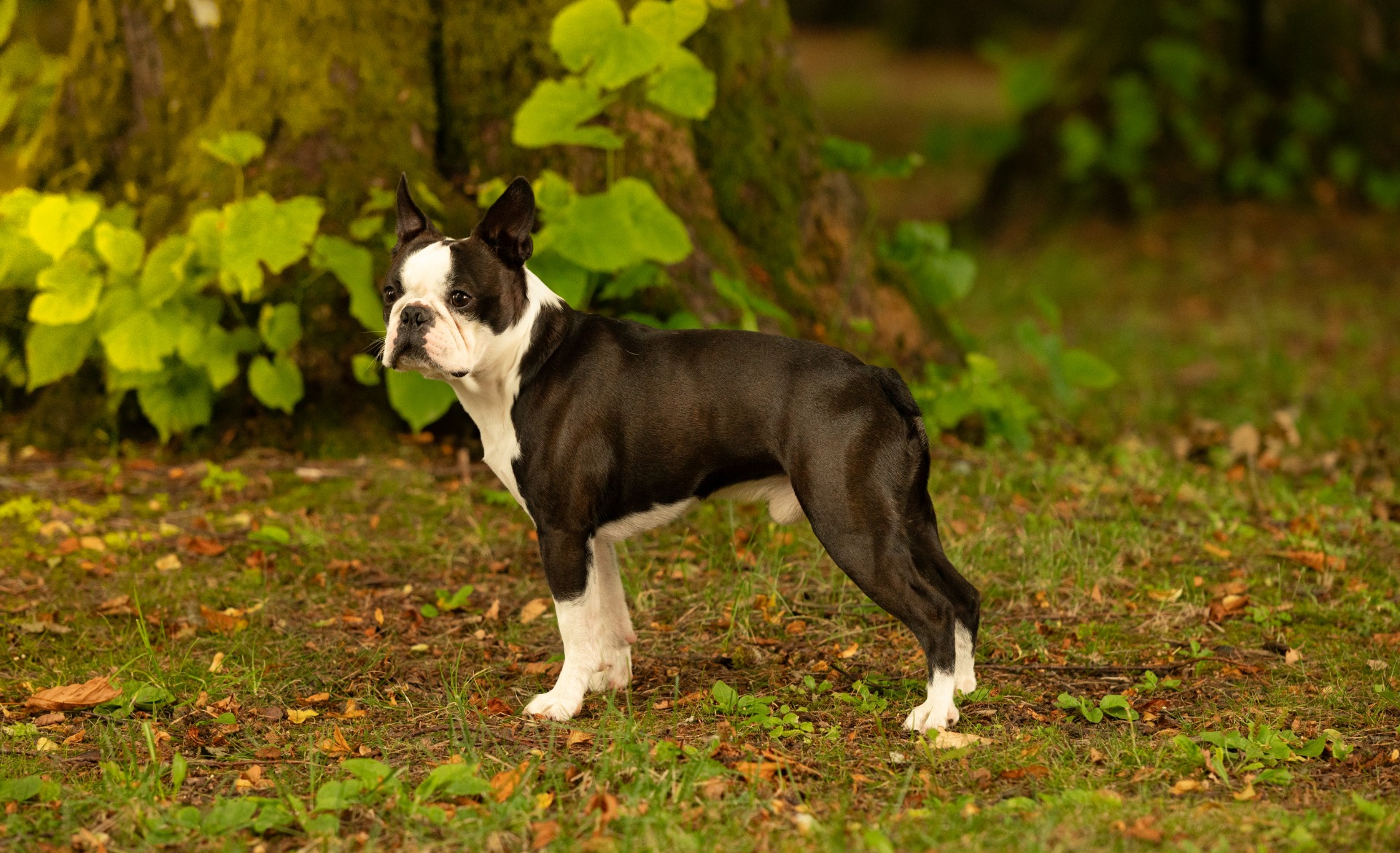Fotograf Anja Tveterås
